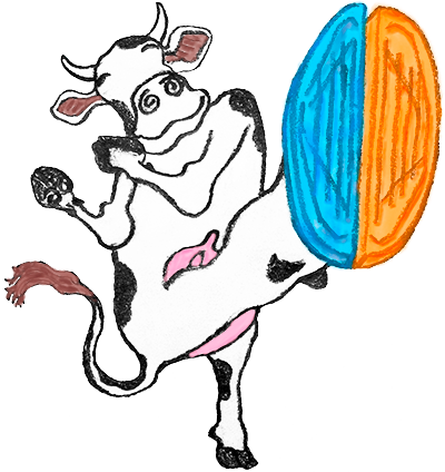 A happy cow wearing BIS-sourced hoof blocks.