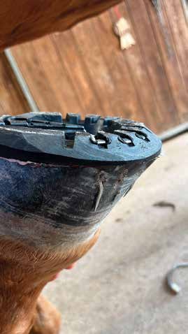 TP Horseshoes showing snare iron