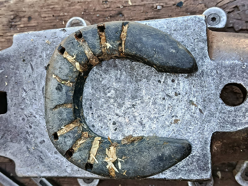 TP Horseshoe after 67 days of use. Click for larger image.