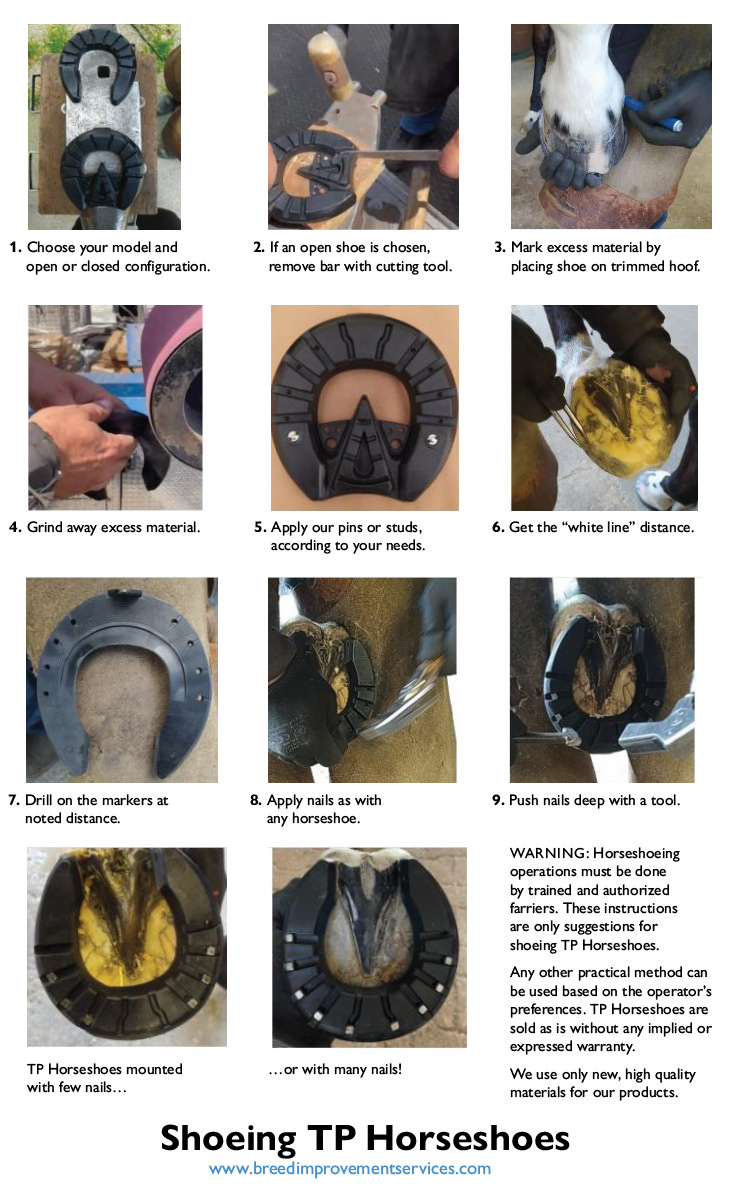 TP Horseshoes instructions
